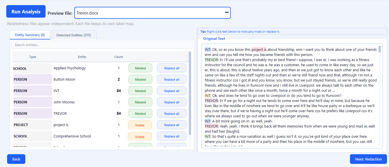 QInsights Anonymizer showing detected identifying terms alongside the original text